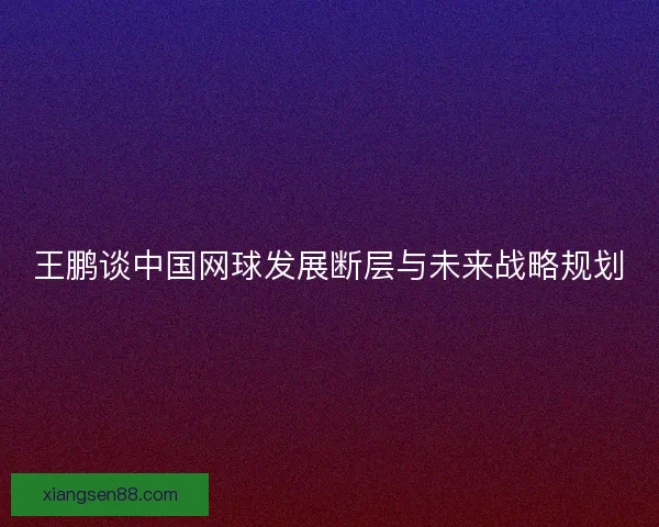 王鹏谈中国网球发展断层与未来战略规划 王鹏谈中国网球发展断层与未来战略规划