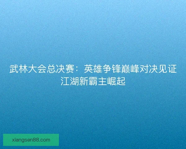 武林大会总决赛：英雄争锋巅峰对决见证江湖新霸主崛起
